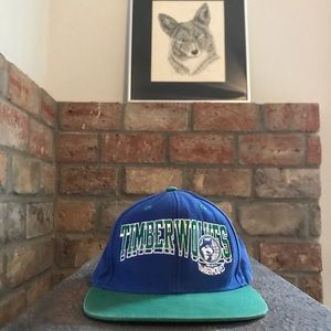 Vintage Adidas Minnesota Timberwolves hat.